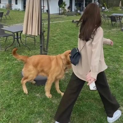 捉妖记